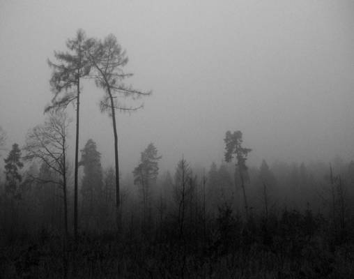 Lovers of the Arctic Circle