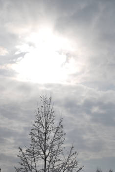 Sky on a morning snow