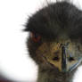 Emu