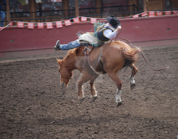 Bored Rodeo Rodeo 1 by JoannJudd on DeviantArt