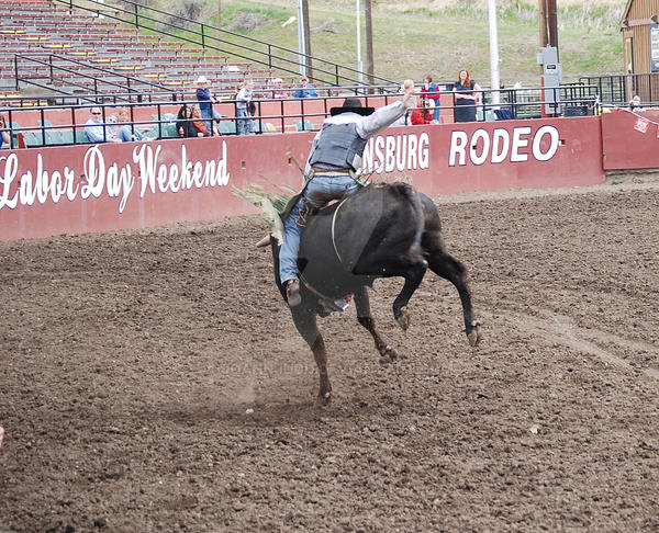 Rodeo 4 by JoannJudd on DeviantArt