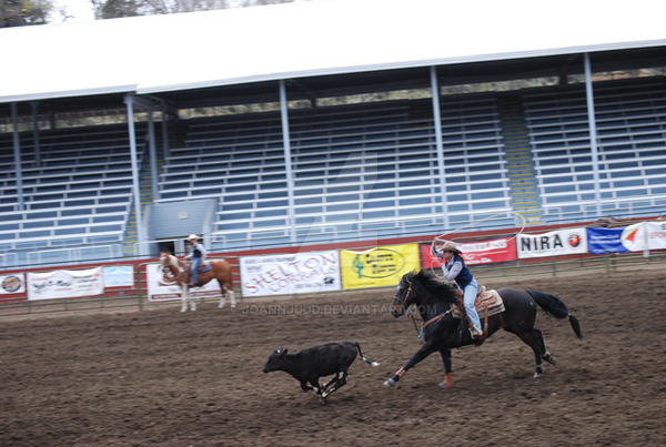 Djibb Rodeo Rodeo 28 by JoannJudd on DeviantArt