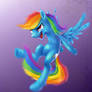 Rainbow Dash