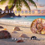 Opalescent Seashells by DMS - Promo Example Image