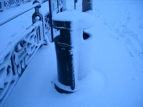 Half Bin, Half Snow