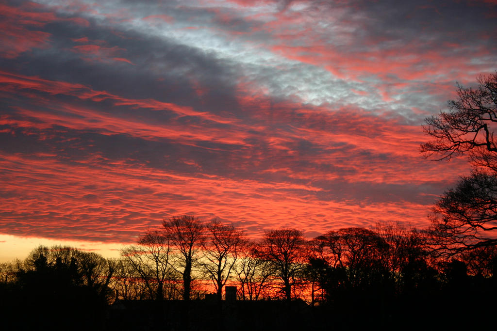 Red sky 1 by starkey7 on DeviantArt
