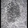 fingerprint