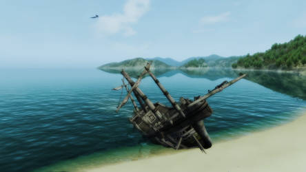 The shipwreck