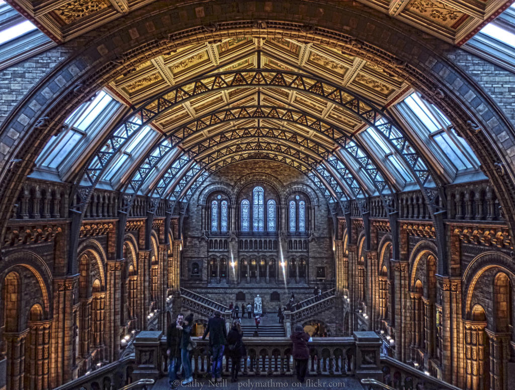 Natural History Museum by polymathmo