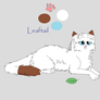 Leaftail -Medicine cat-