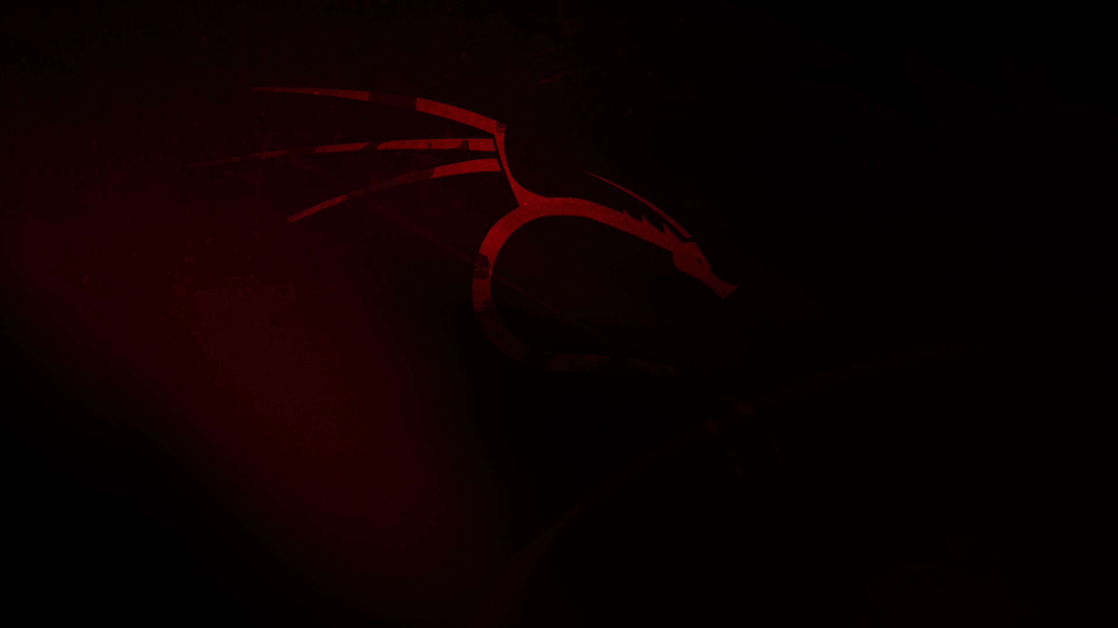 Kali Linux Wallpaper {4k} by ProGamerZix on DeviantArt