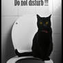 Do not disturb