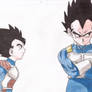 Tarble and Vegeta  (request)