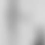 31.3.2025 Study
