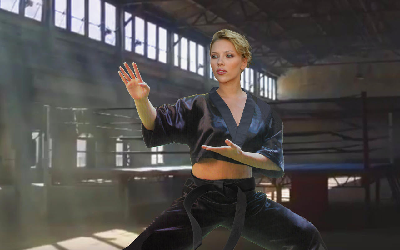 Scarlett Johansson - Black Widow in training by jjj011972 on DeviantArt