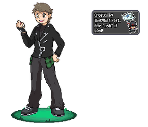 Welcome to the Galar Region! - Trainer Nathan