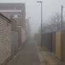 Foggy Streets Stock  02