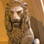 Florence Lion Statue