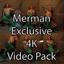 Mermay/Mermay 2023 4K Video PA-DASub Pack(Preview)