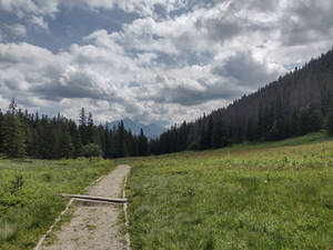 creativenickoridk User Profile | DeviantArt