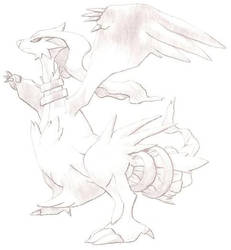 Reshiram Drawing