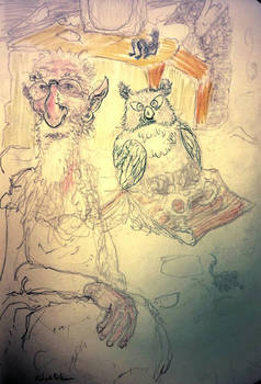 owl wize faery