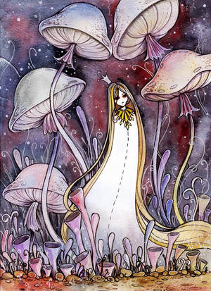 Mushrooms by MaryIL