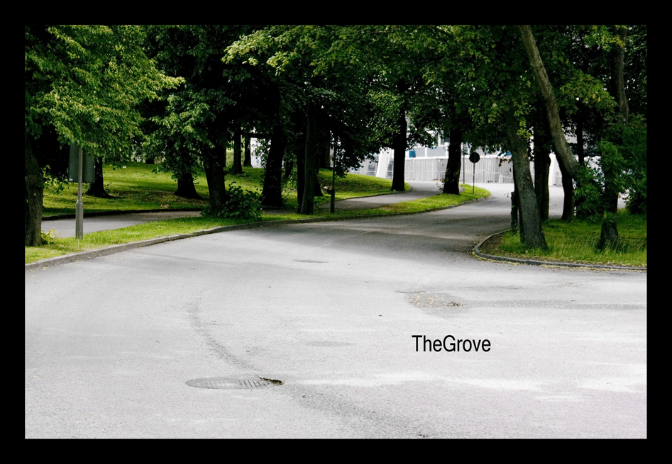 The grove