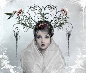 Only in my dream by Birdsatalcatraz Only in my dream by Birdsatalcatraz