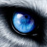 wolf -invert-