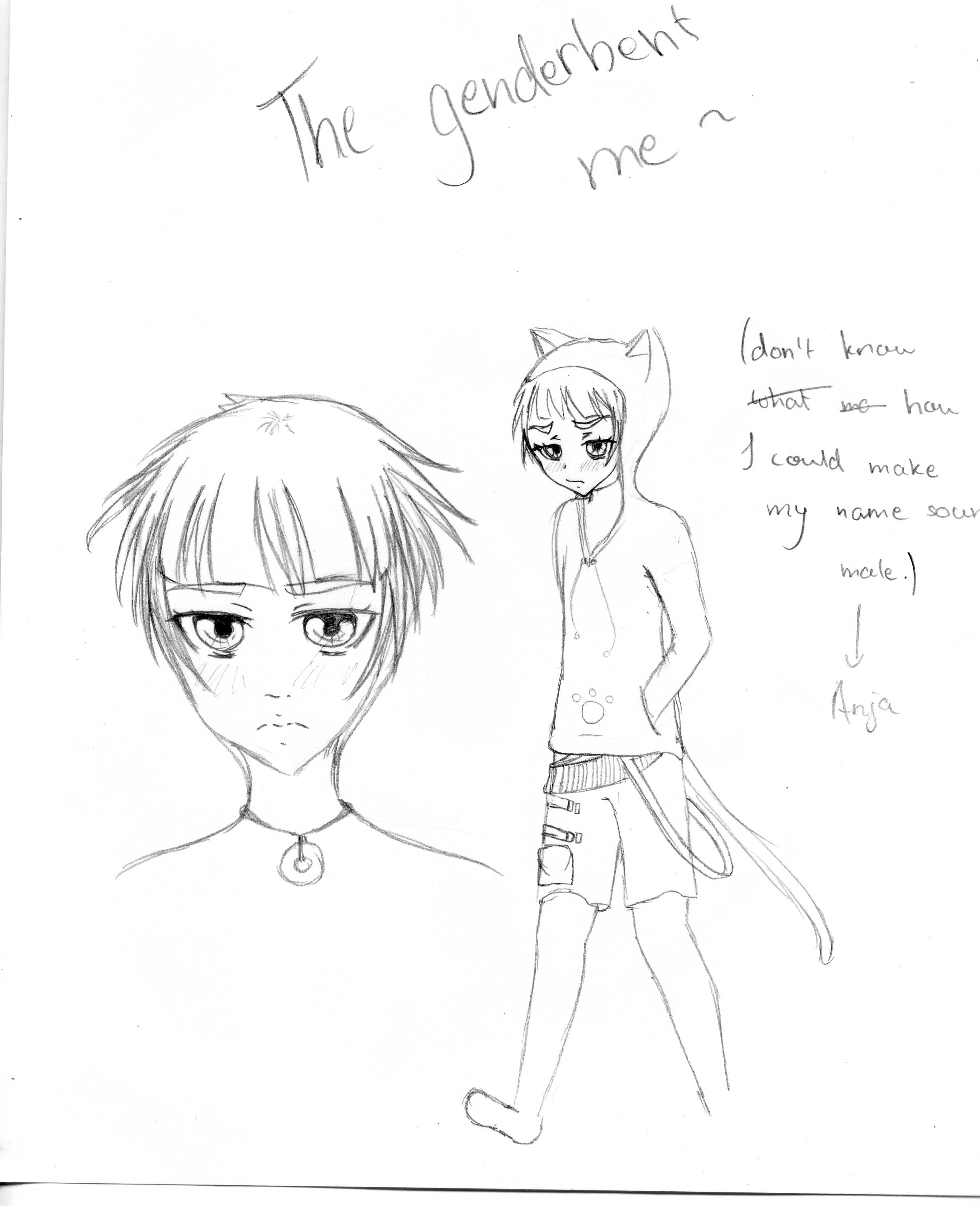 The Genderbent Me by KanariRingo on DeviantArt