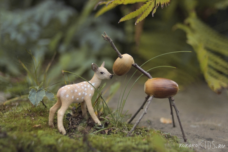 Acorn Deer