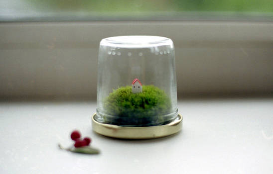 small moss terrarium