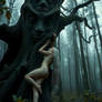 Dryad 1