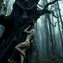 Dryad 2