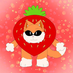 Strawberry cat