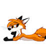 a fox
