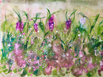 My vision of florals