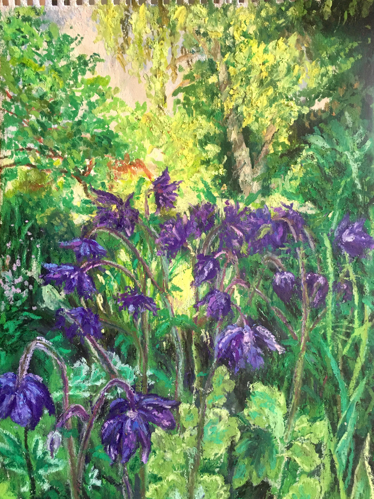 memories in spring by Irish-Iry on DeviantArt