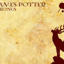 Prongs