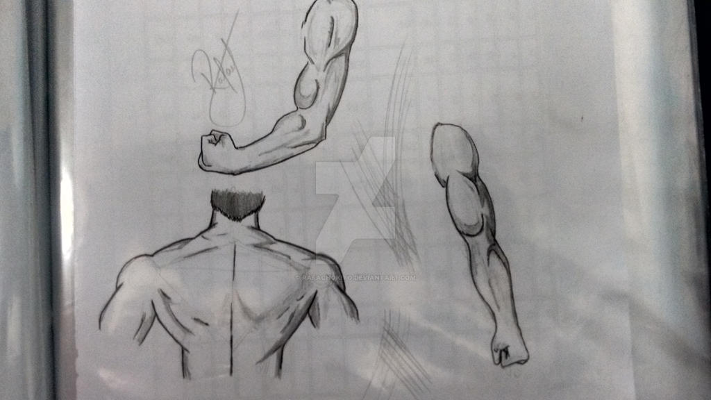 Body outline - Draft by rafachokito on DeviantArt