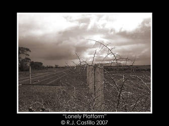 The Lonely Platform