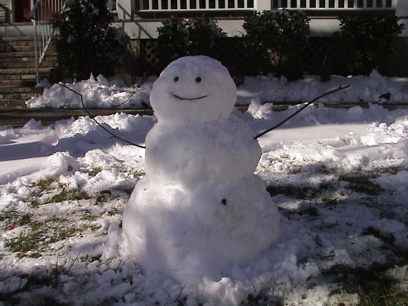 Snowy Snow Man