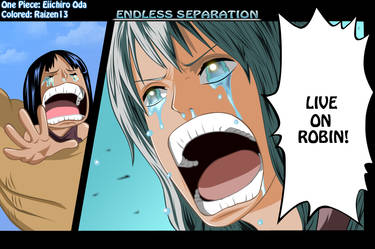 One Piece : Endless Separation