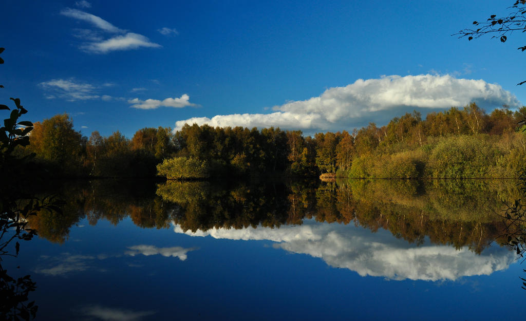 Reflection of the landscape