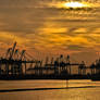 Silhouette Port cranes Hamburg