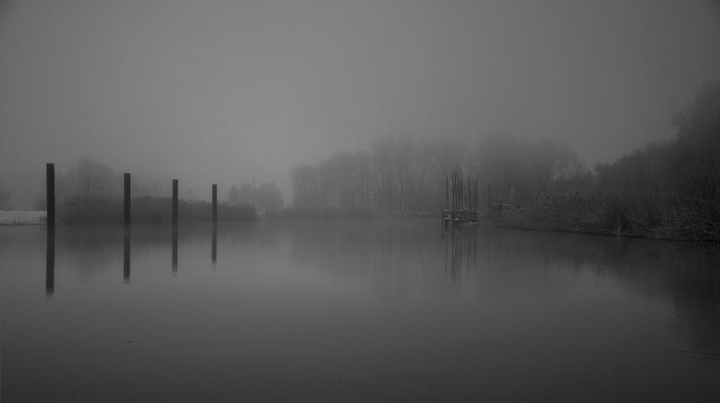 Fog over the river