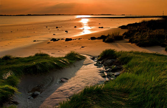 Sunset reflection at low tide