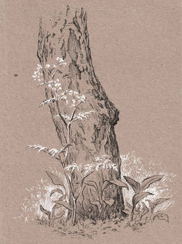 Kraft paper 22