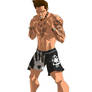 mixed martial arts fighter